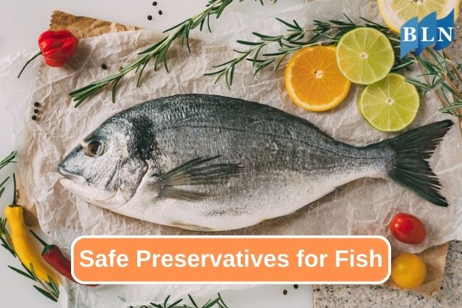 Fish Preservation Innovations to Extend Shelf Life